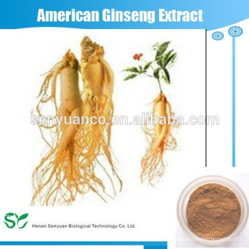 Amerikanischer Ginseng-Wurzel-Extrakt